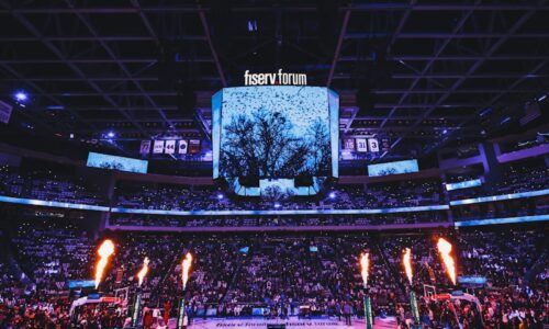 a crowd of people watching a basketball game