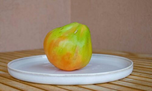 An apple sitting on a plate on a wooden table