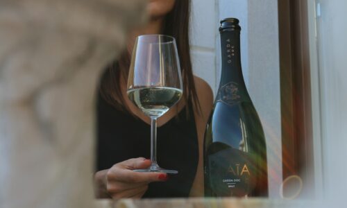 woman in black long sleeve shirt holding clear wine glass
