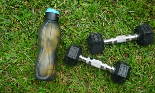 2 black and gray dumbbells on green grass